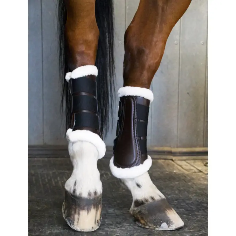 Stinchiere da dressage posteriori T de T Non Perdere