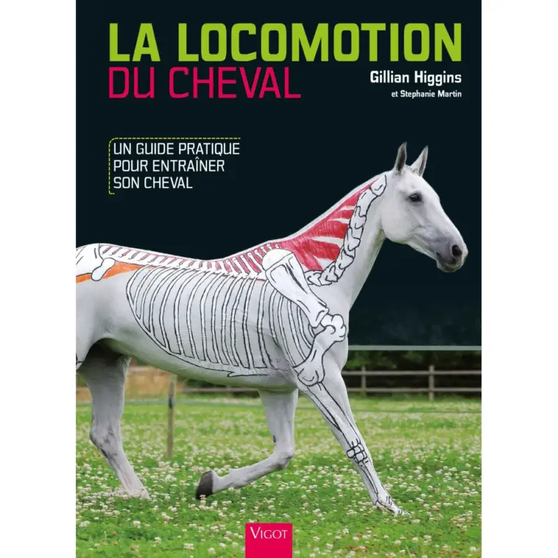 La Locomozione del Cavallo Esclusivo