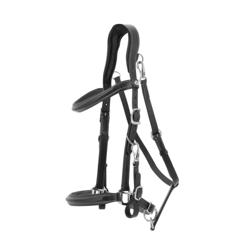 Popolare Briglia cavezza Norton Trekking