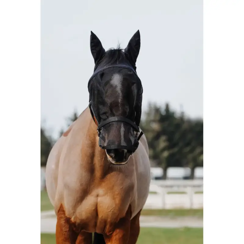 Capezza + maschera Equithème Prezzo Di Fabbrica