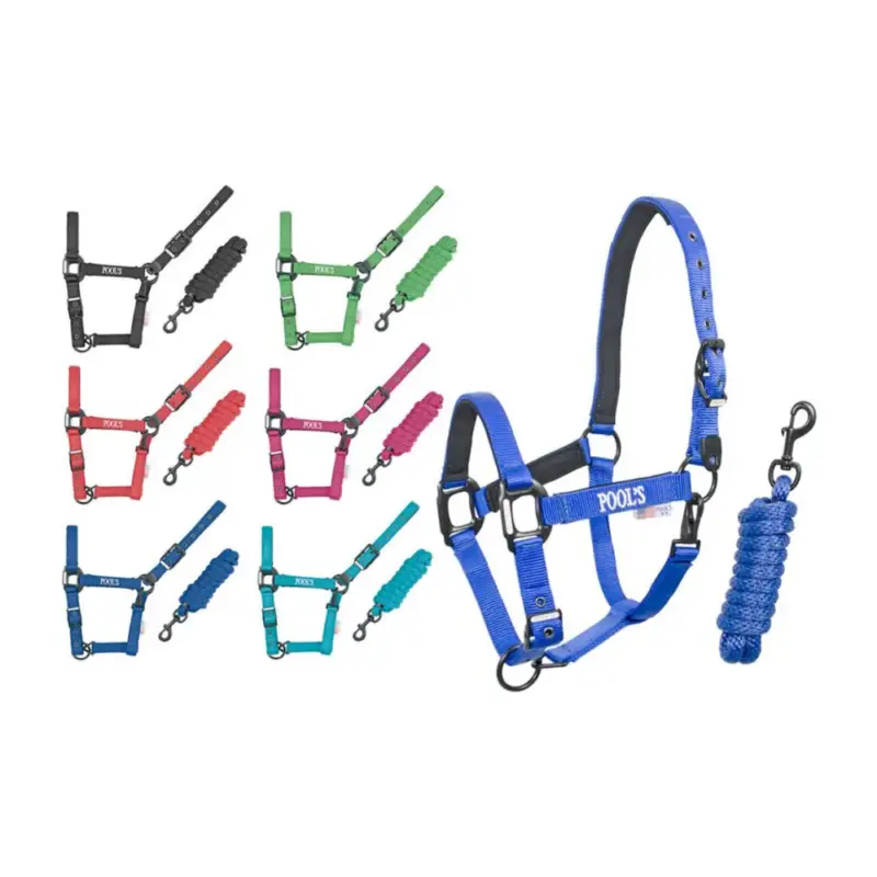 Cavezzone Pool in nylon con fibbie nere e longhina Offerta Limitata