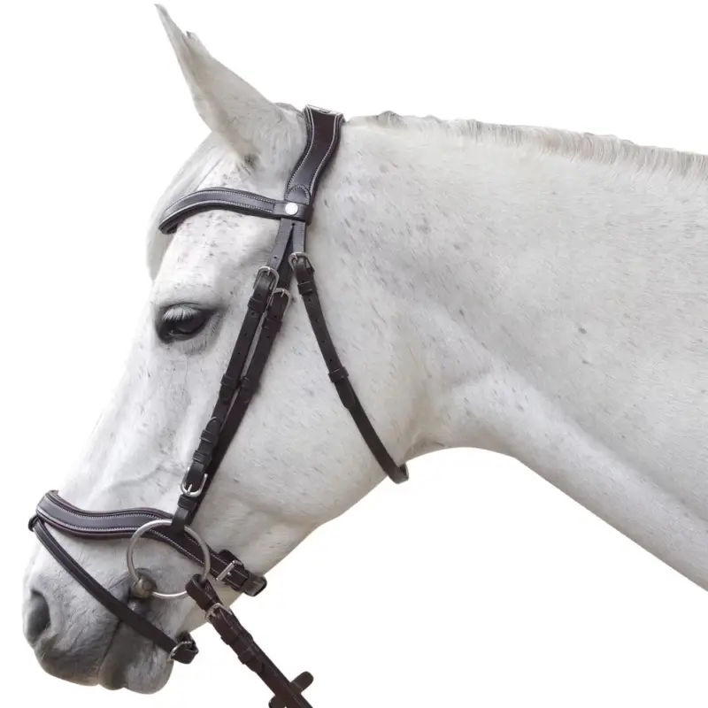 Offerta Lampo Briglia Canter Baloubet