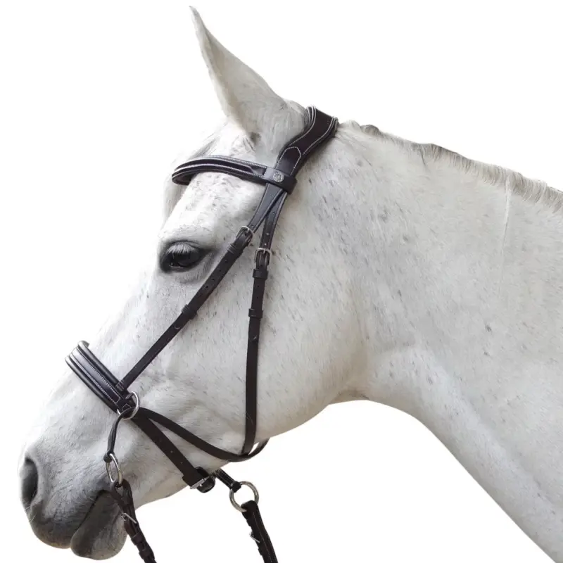 Offerta Del Giorno Bridon Canter bitless Evolution