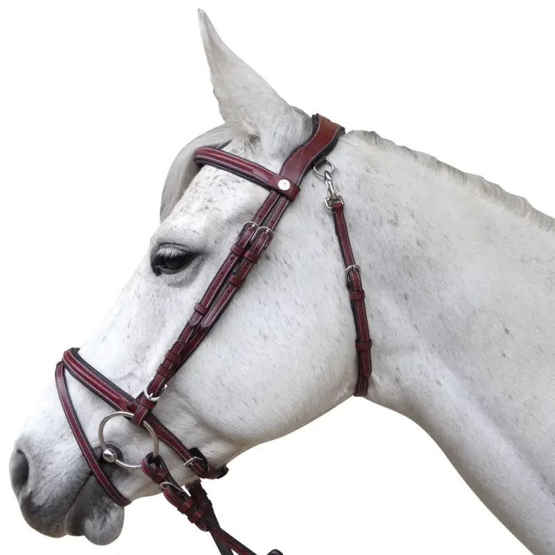 Bridon Flags & Cup Lanaken Promo Stagionale