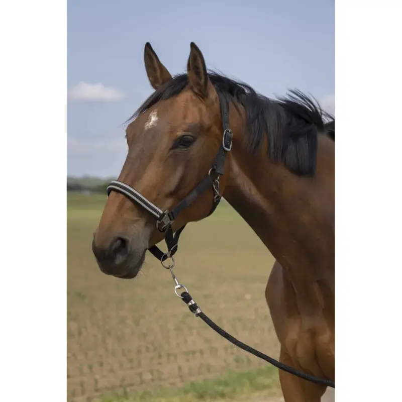Promo Stagionale Capestro Equithème Nylon Chevron