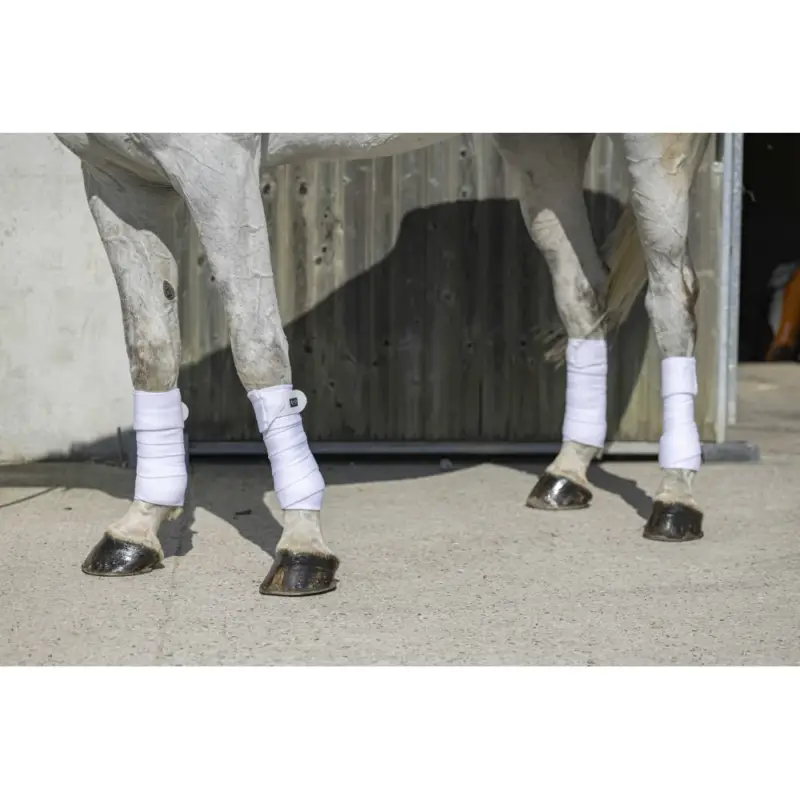 Fasce da polo Riding World Eco Ultimissimo Modello
