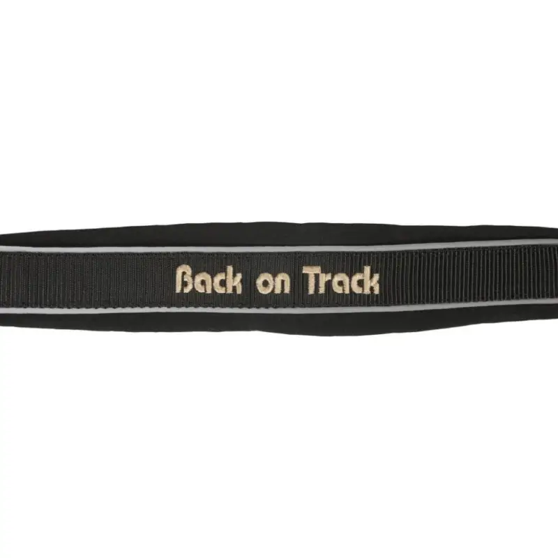 Compra Oggi Stesso Capestro Back on Track® Werano Riflettente