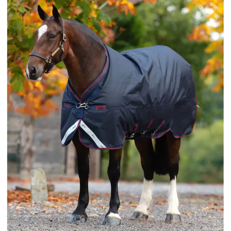 Affare Coperta Horseware Amigo Bravo 12 XL 0g