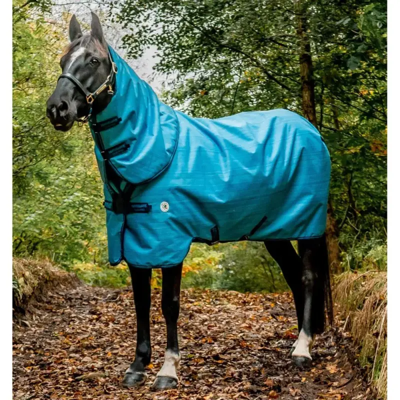 Scelto Dai Clienti Coperta Horseware Amigo Hero 900 Revive Plus 200g