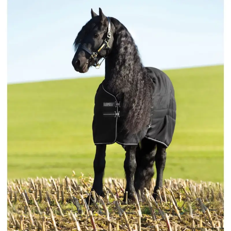 Coperta da box Horseware Rambo 100g Spedito Oggi