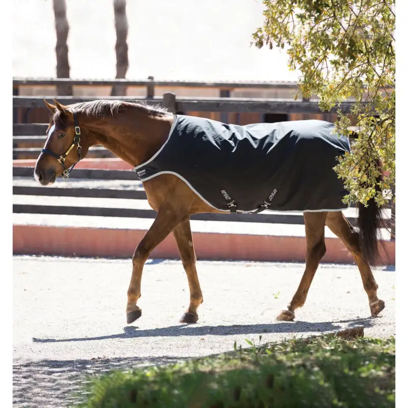 Esclusivo Coperta da passeggio Horseware Amigo 200g