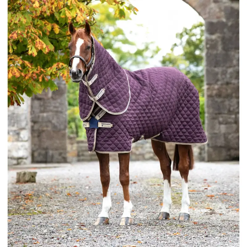 Coperta da box Horseware Amigo Plus Disco 200g Ordina Subito