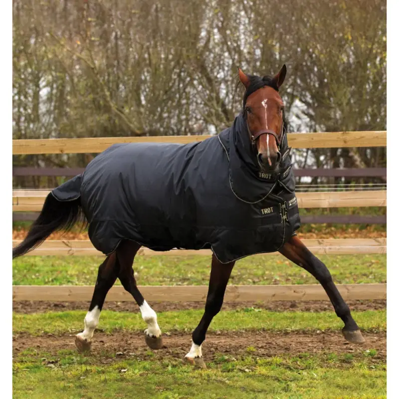 Promozione Coperta Horseware Trot Plus con copricollo 350g