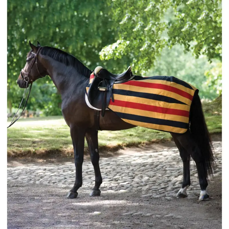 Spedizione Espresso Coprireni Horseware Rambo in pile 0g