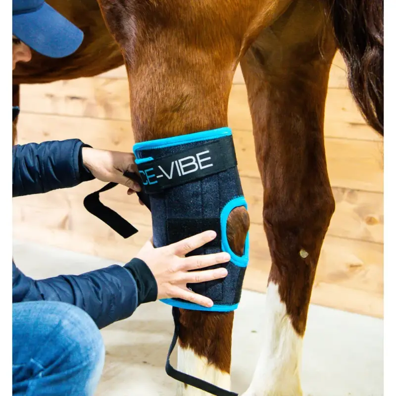 Ultime Pezzi Paragambe Horseware Ice-Vibe