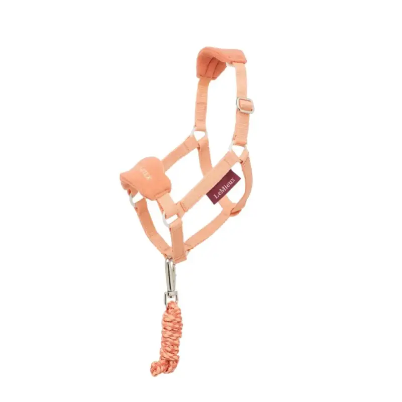 Capestro per hobby horse LeMieux Direttamente Dal Produttore