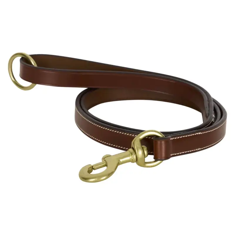 Ordina Subito Guinzaglio per cane HV Polo Legacy