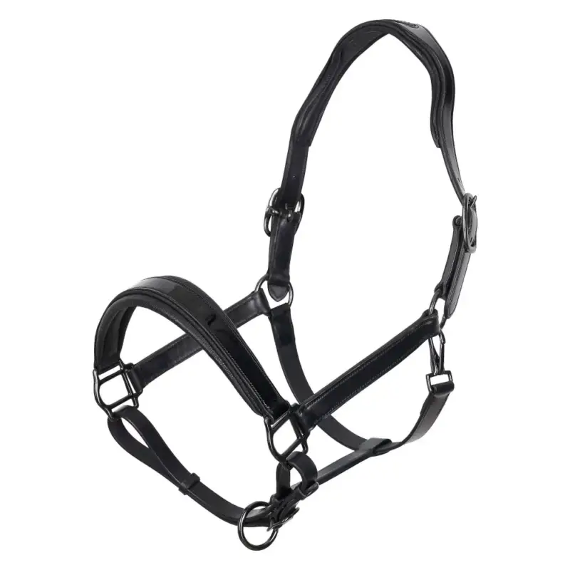 Promo Stagionale Halster Imperial Riding Hera