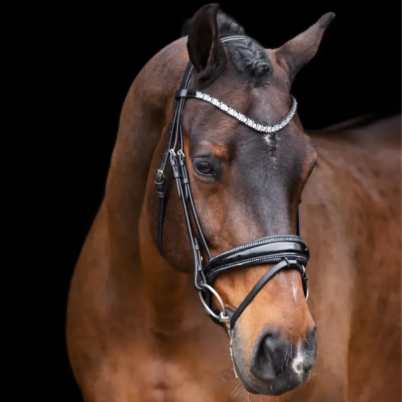 Bridon Impérial Riding Olympia Acquista Ora