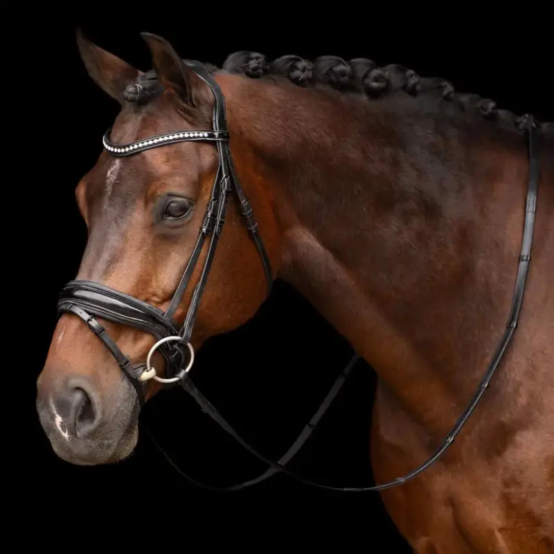 Bridon Impérial Riding Athena Miglior Prezzo
