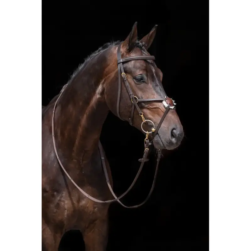 Occasione Briglia stile messicano rinforzata, montone HKM