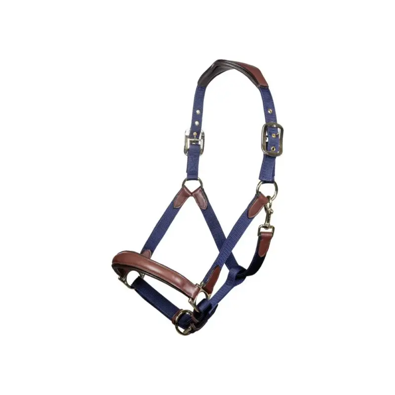 Ordina Subito Capestro Luna in cuoio e nylon HKM