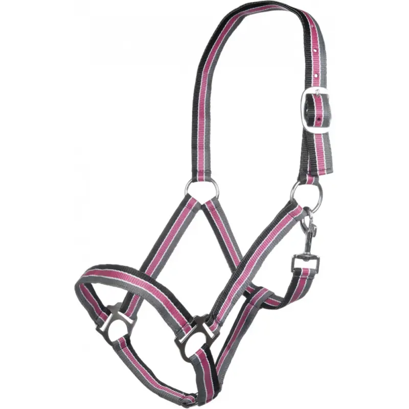 Capezza Genf HKM Occasione