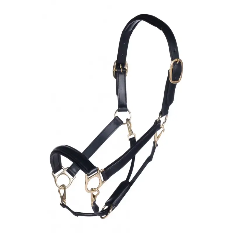 Capezza in cuoio Gold HKM Offerta Limitata