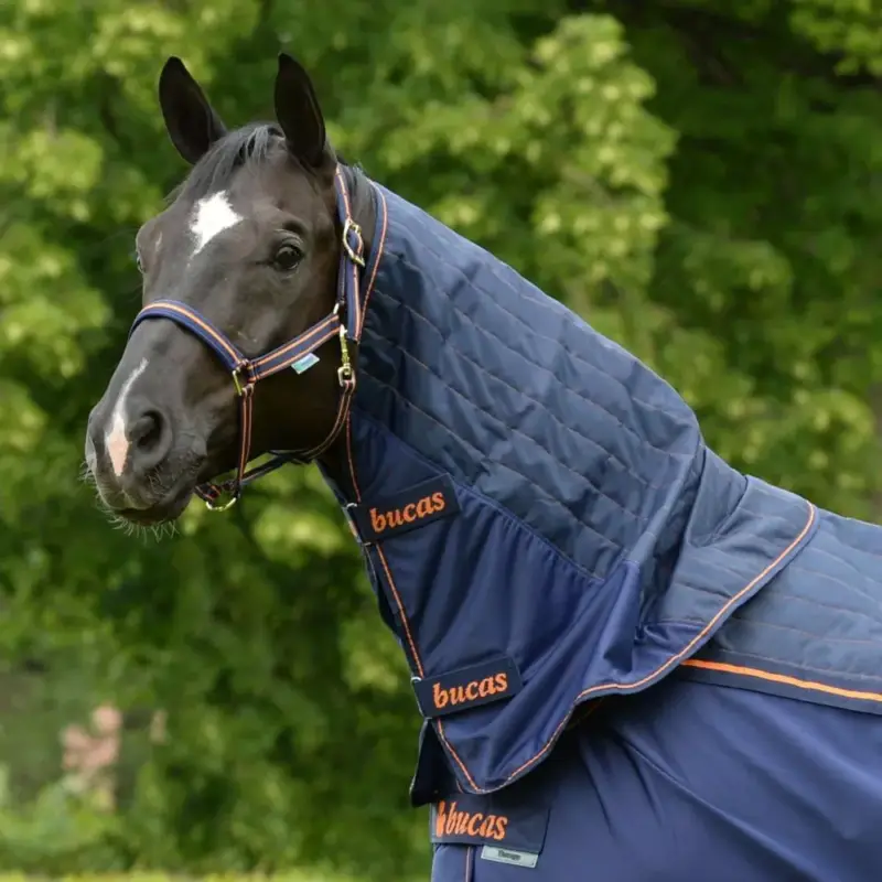 Collo Bucas Therapy Cooler Neck Offerta Lampo