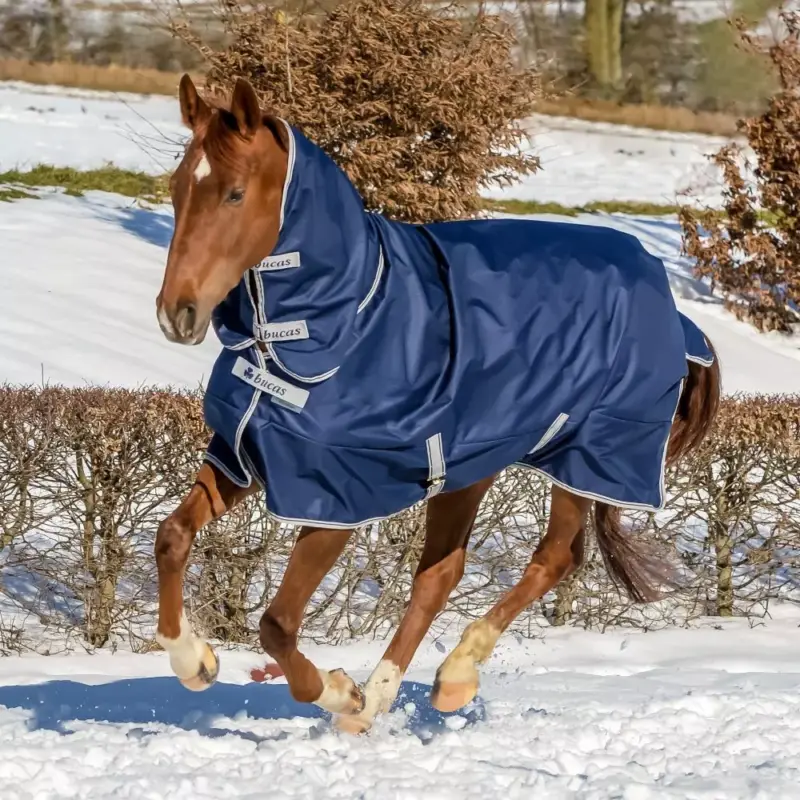 Nuova Collezione Coperta Bucas Freedom Turnout Full Neck 300g