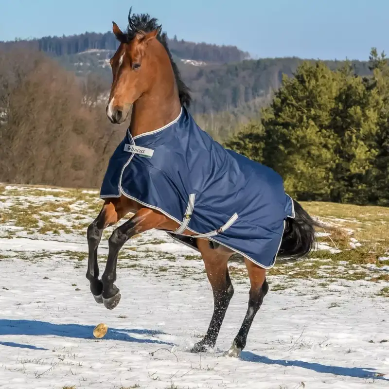 Promozione Esclusiva Coperta Bucas Freedom Turnout 300g