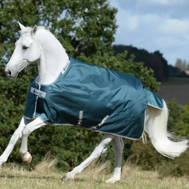Coperta Bucas Atlantic Turnout 400g Economico