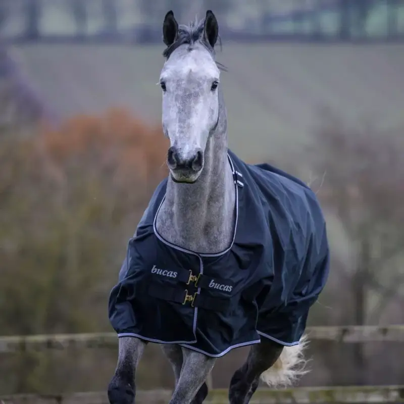 Bucas Trot Turnout 50g deken Promozione