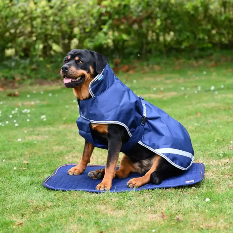 Pagamento Sicuro Tappeto per cane Bucas Therapy