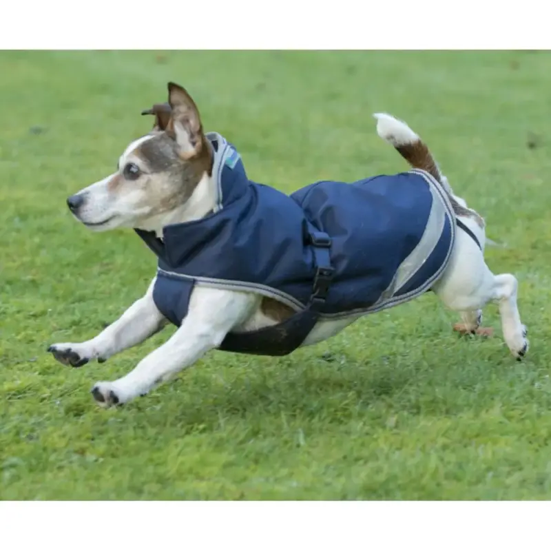 Coperta per cane Bucas Freedom 300g Quantità Limitata