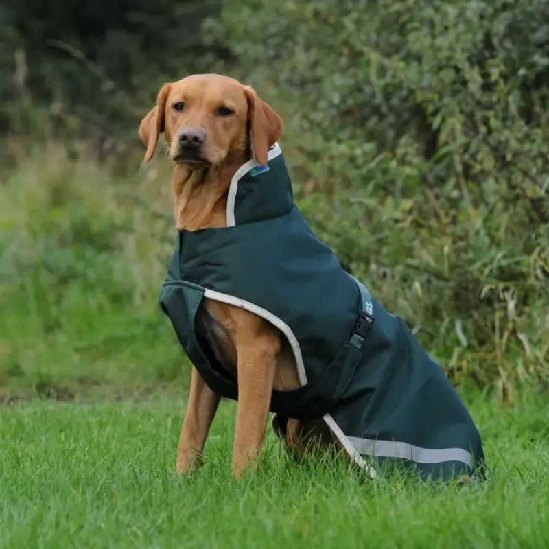 Esclusivo Coperta per cane Bucas Greenline 0g