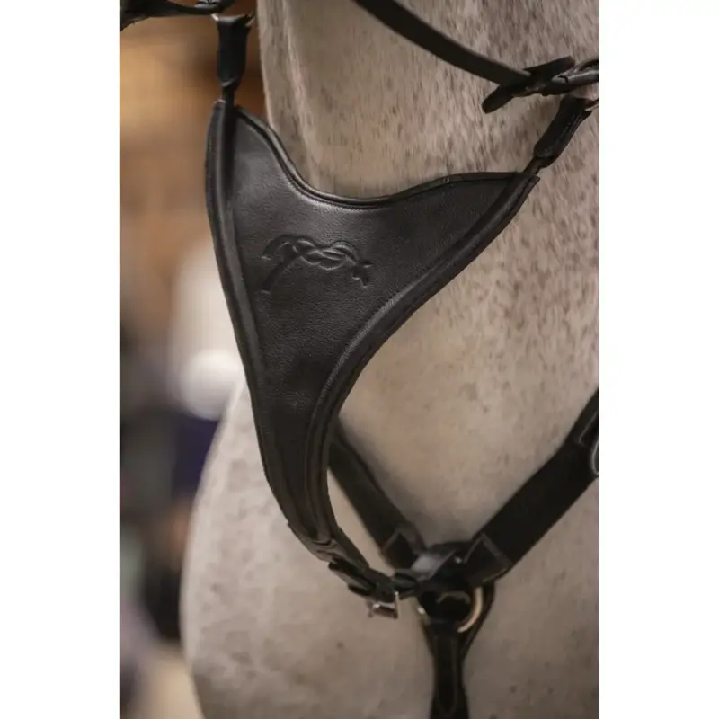 Freccia di martingala Pénélope Bip Plain Elastico Sconto