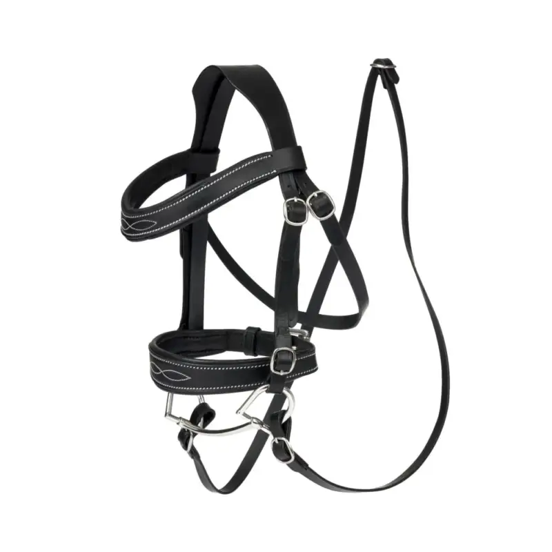 Acquista Ora Briglia da concorso LeMieux per Hobby Horse