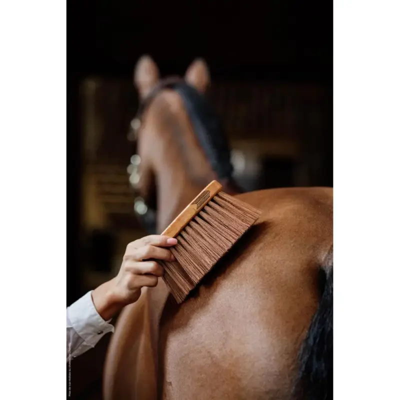 Acquista Ora Tappo medio medium Kentucky