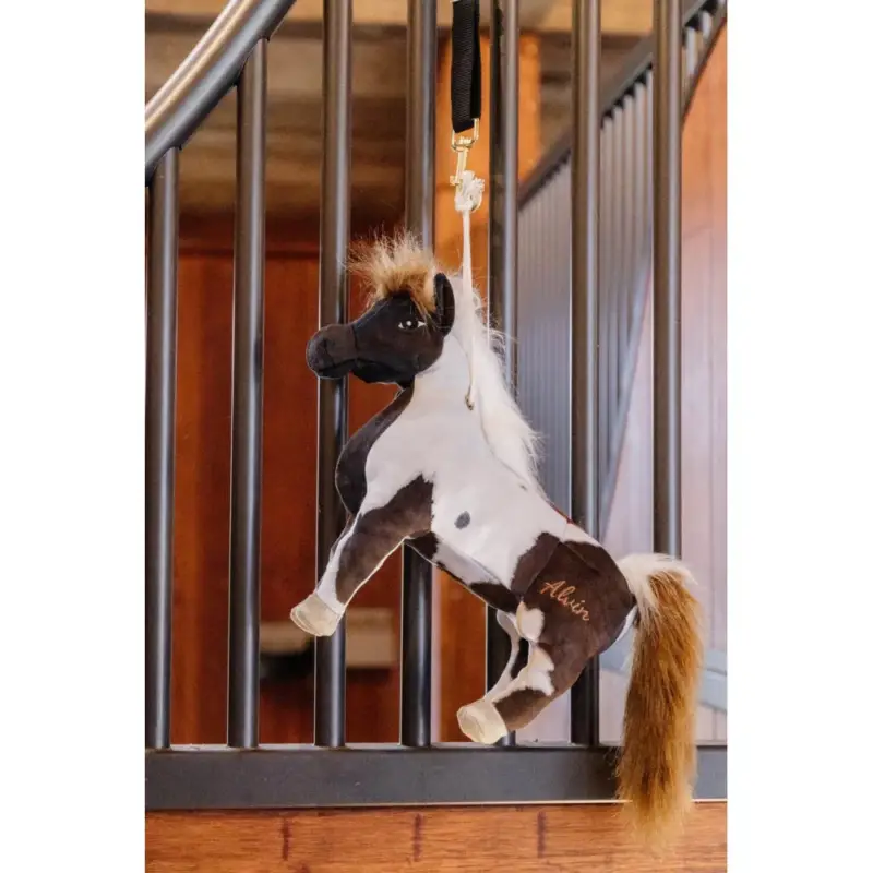 Ultima Occasione Giocattolo Rilassante Alvin Kentucky