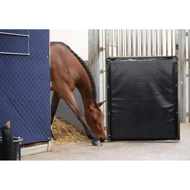 Kick Pad Kentucky Compra Oggi Stesso