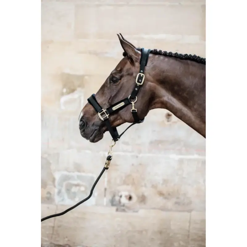 Longe Rope Basic Kentucky Prezzo Conveniente