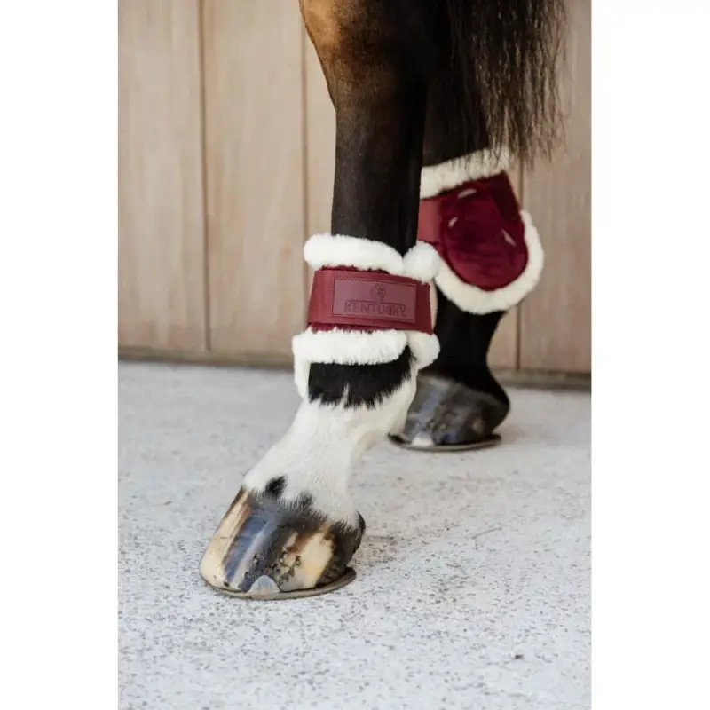 Paratendini posteriori per giovani cavalli Velvet con montone vegano Kentucky Must-Have