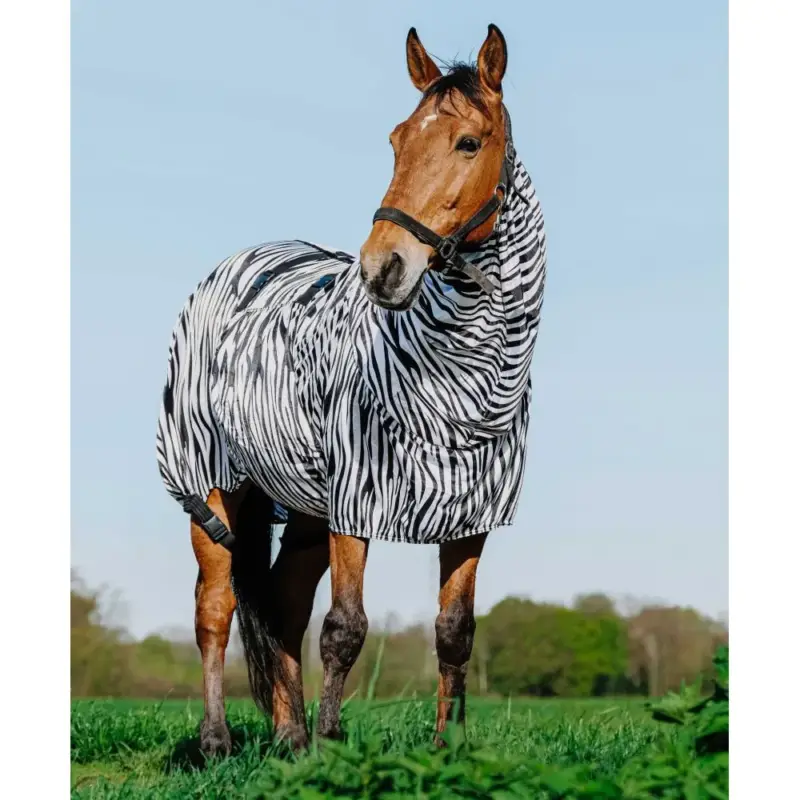 Affare Camicia anti-eczema zebra Riding World