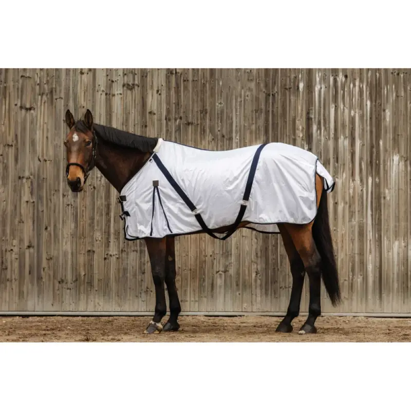 Soddisfatti O Rimborsati Camicia Equithème Mesh bianca