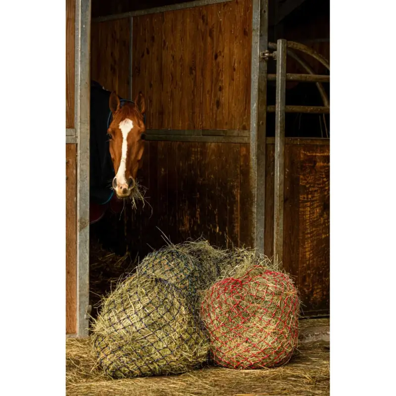 Rete per fieno Hippotonic Zari Popolare