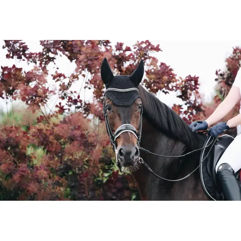 Occasione Berretto Wellington Sparkling Kentucky