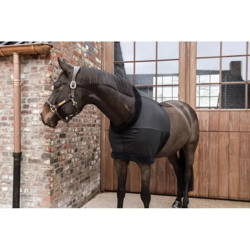 Pettorale Kentucky Subito Disponibile