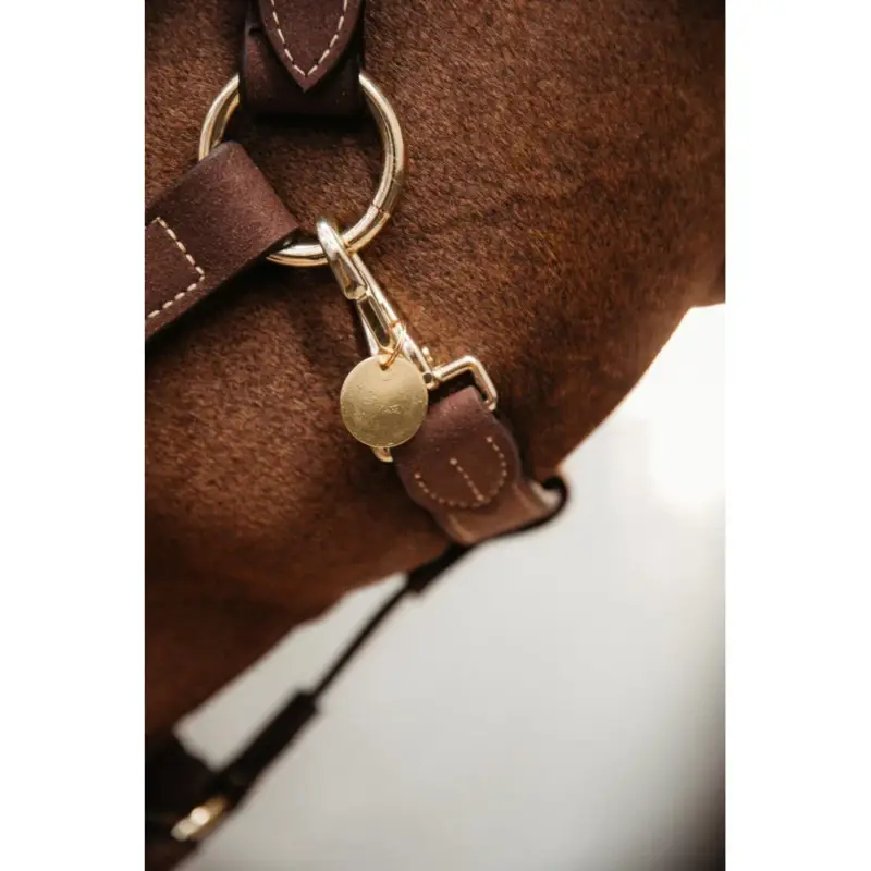 Ultime Pezzi Medaglia Kentucky