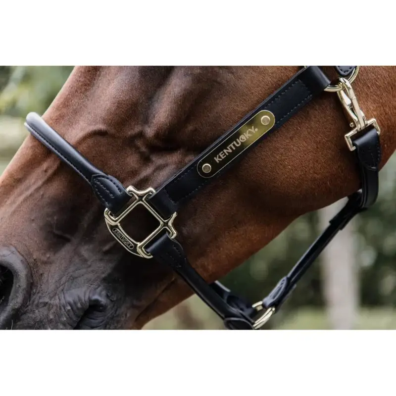 Promozione Esclusiva Targhetta per cavezza oro Kentucky